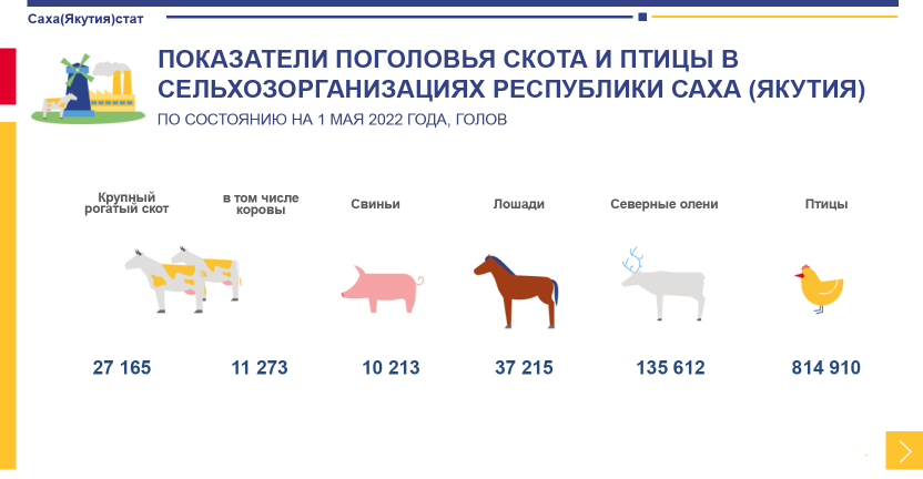Показатели животноводства в сельхозорганизациях  Республики Саха (Якутия) за январь-апрель 2022 года